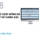 CÁ CƯỢC BÓNG ĐÁ - TỶ SỐ CHÍNH XÁC CÁ CƯỢC BÓNG ĐÁ - TỶ SỐ CHÍNH XÁC