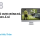CÁ CƯỢC BÓNG ĐÁ - VAR Là Gì CÁ CƯỢC BÓNG ĐÁ - VAR Là Gì